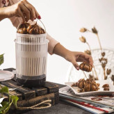 ظرف نگهدارنده ترشیجات