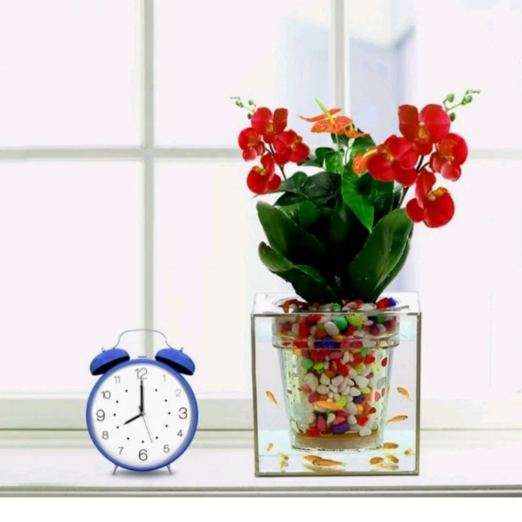 گلدان آکواریومی خیلی زیبا برای محل کار و خانه نگهداری هم زمان گل های کوچک زینتی و ماهی های اکواریومی