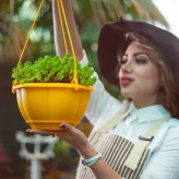 گلدان آویز گل آذین مدل مارانتا کد 320