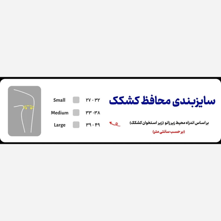 محافظ پیشرفته کشکک اورتینو