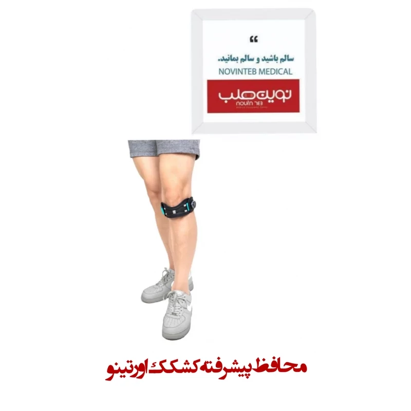 محافظ پیشرفته کشکک اورتینو
